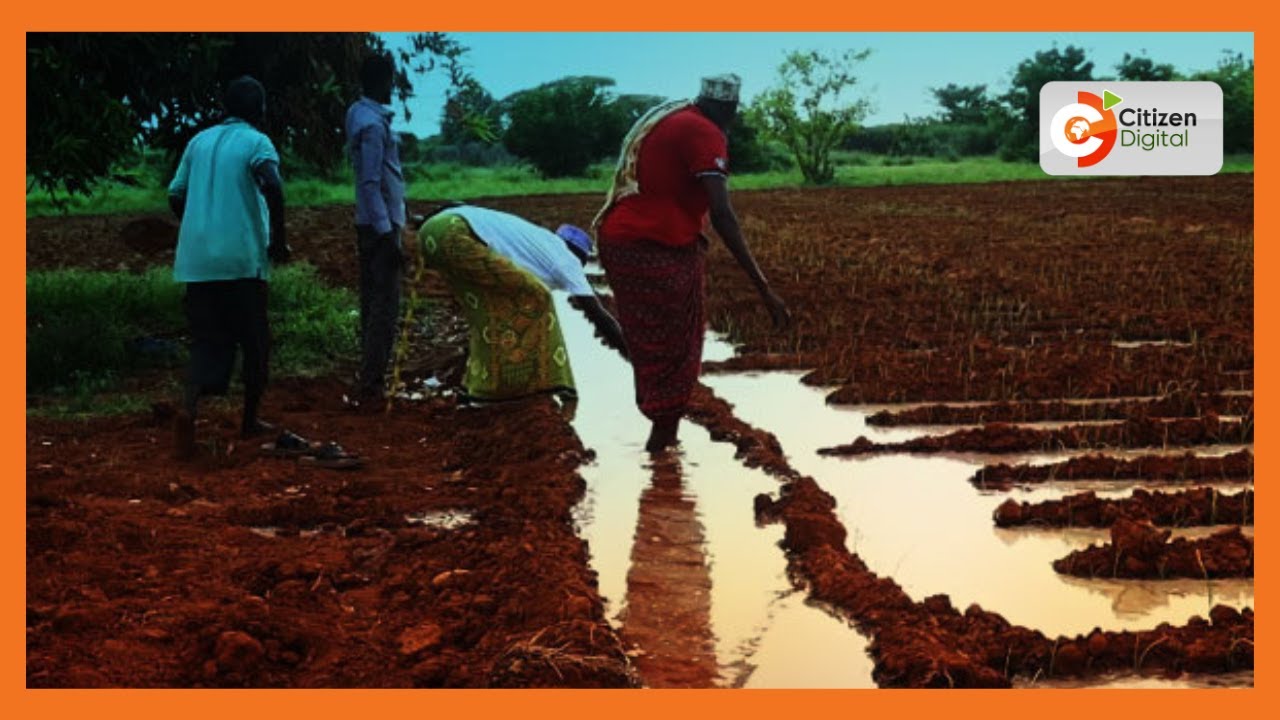 . Athari za mabadiliko ya tabianchi Garissa na Tana River
