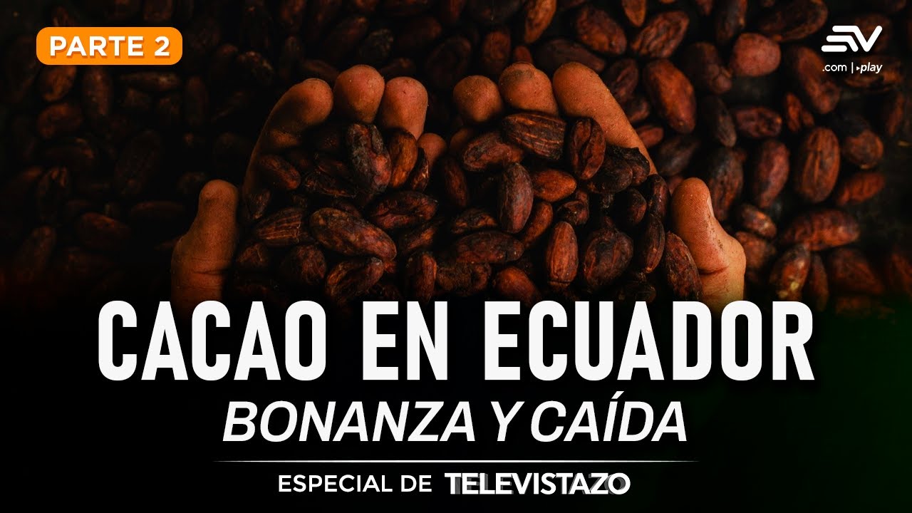 Más cacao y mejor calidad, pero menos valor agregado | Especial de Televistazo | Ecuavisa