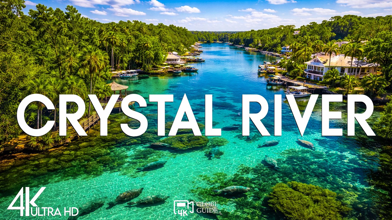Top 10 Best Things to do in Crystal Rivers, Florida [ Crystal Rivers Travel Guide 2026]