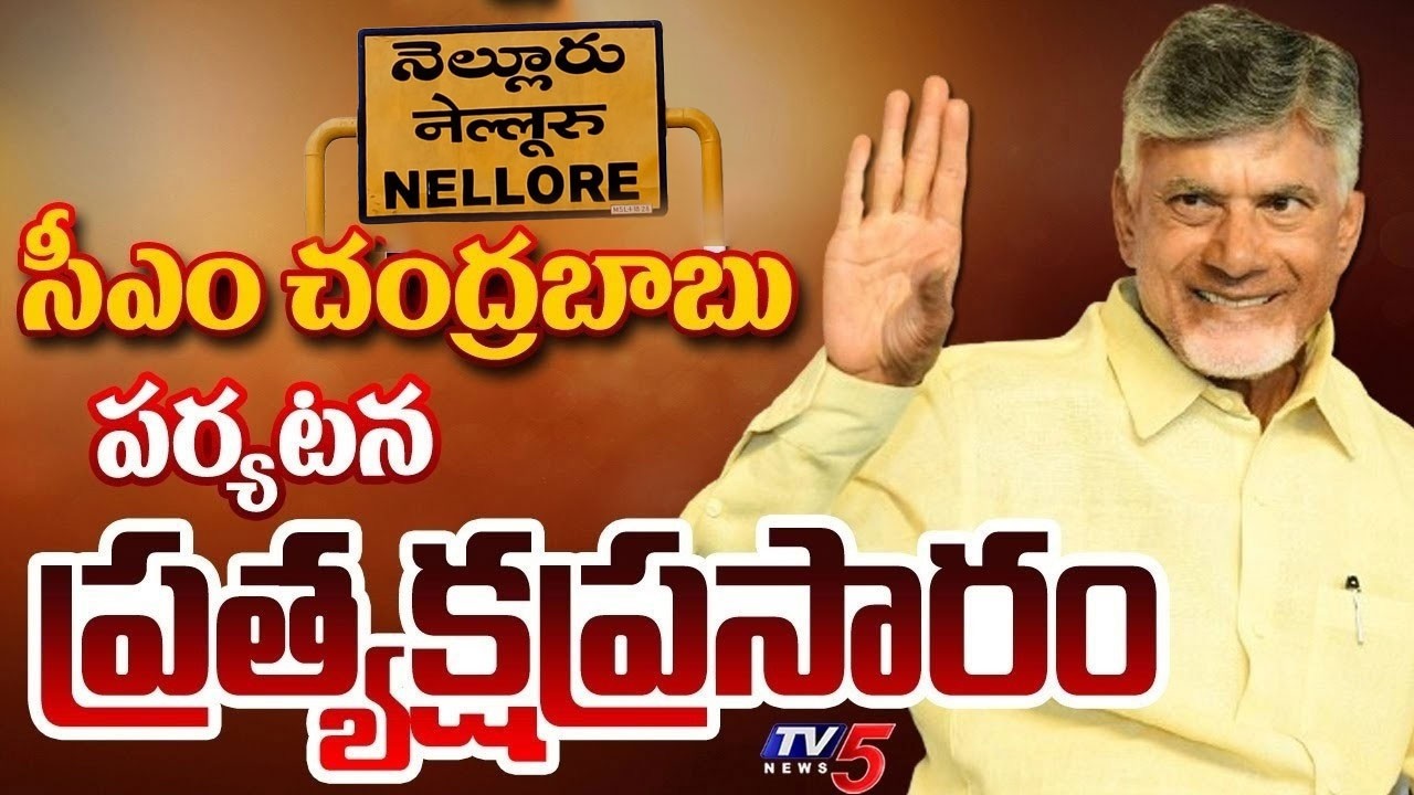 LIVE : సీఎం పర్యటన...CM Chandrababu Naidu Pension Distribution In Nellore | TDP LIVE | TV5 News