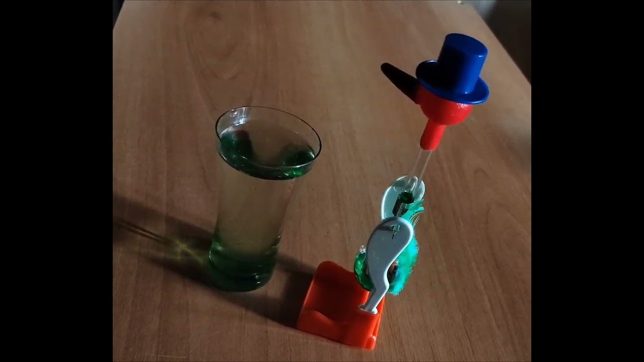 Drinking bird