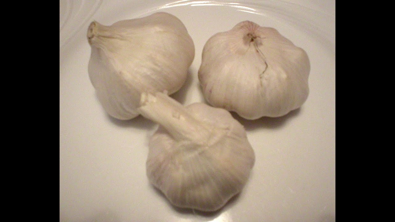 Garlic 101 - Food and Flavor Combos (PART 1)