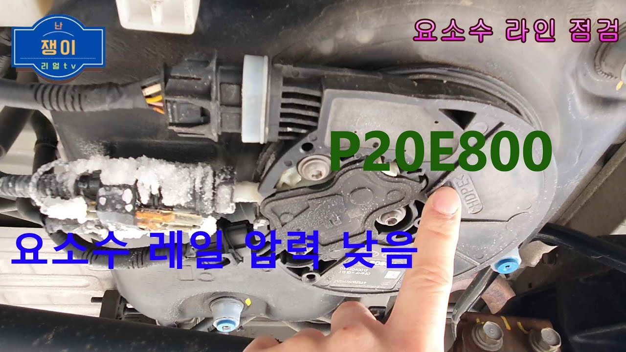 그랜드스타렉스 DTC P20E800 요소수 압력 낮음