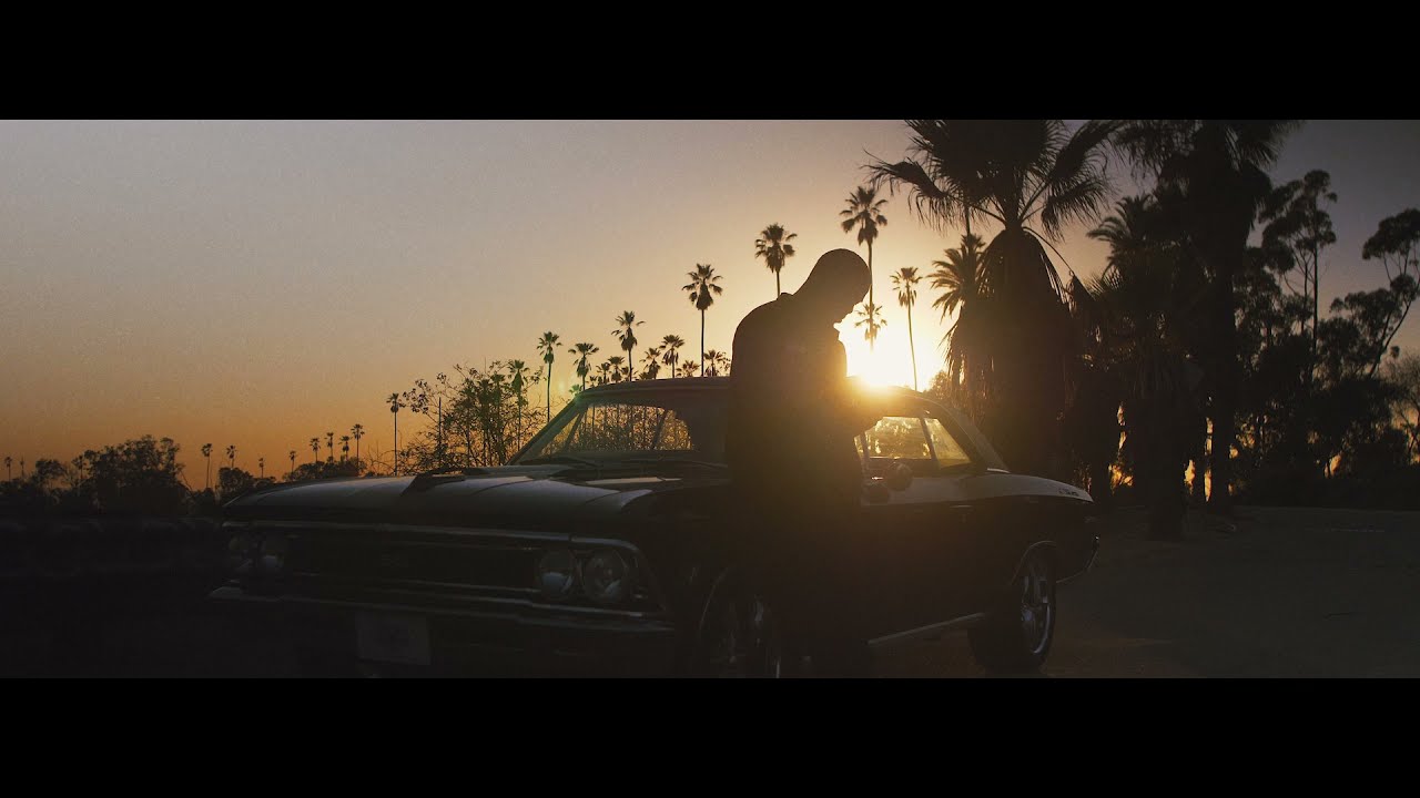 Teds Budz - Brand Film