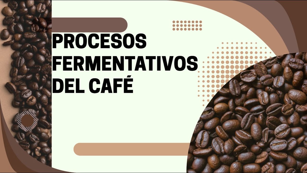 Clase PROCESOS FERMENTATIVOS DEL CAFÉ