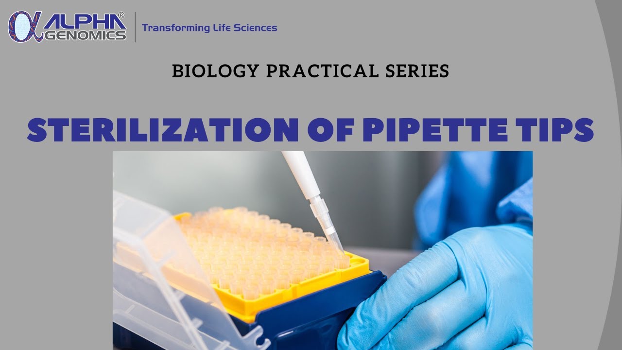 Sterilization of Pipette Tips [Urdu/Hindi]