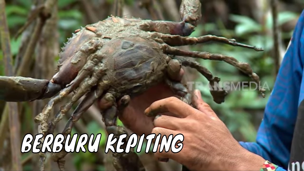 Sensasi Berburu Kepiting | MANCING MANIA STRIKE BACK (25/05/25) Part 2
