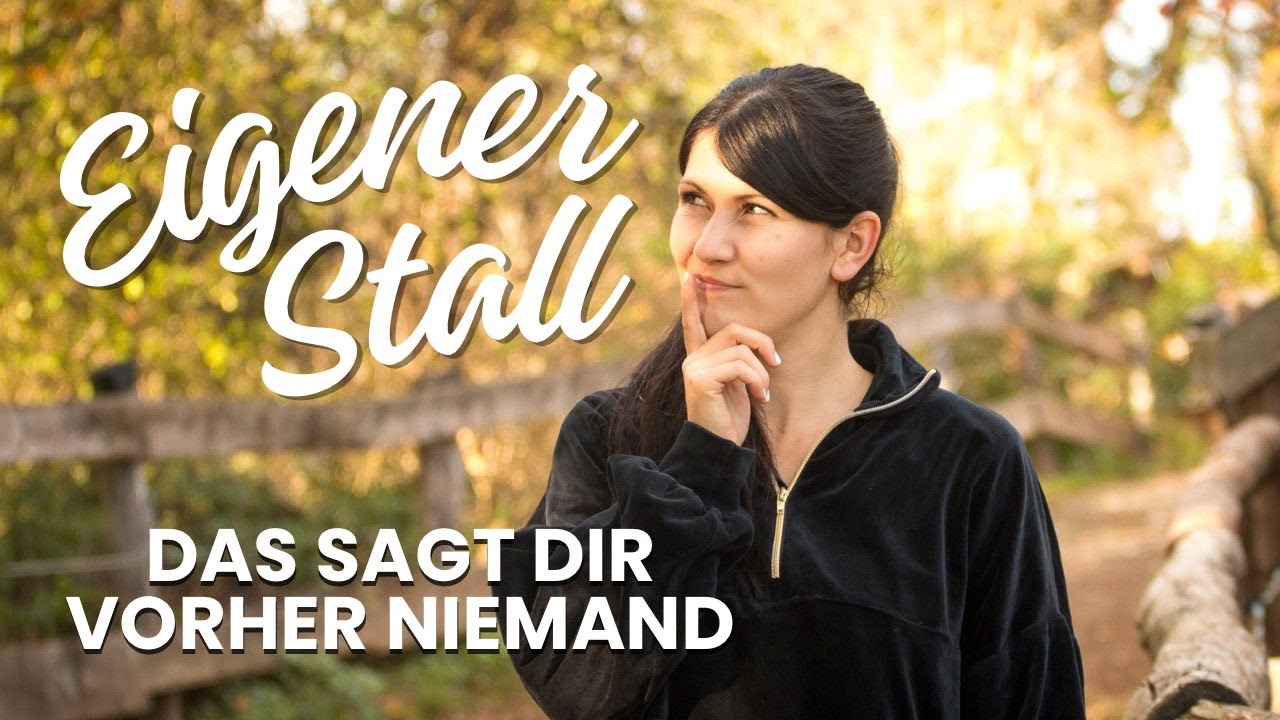 15 Dinge die ich als Stallbesitzerin gerne vorher gewusst hätte