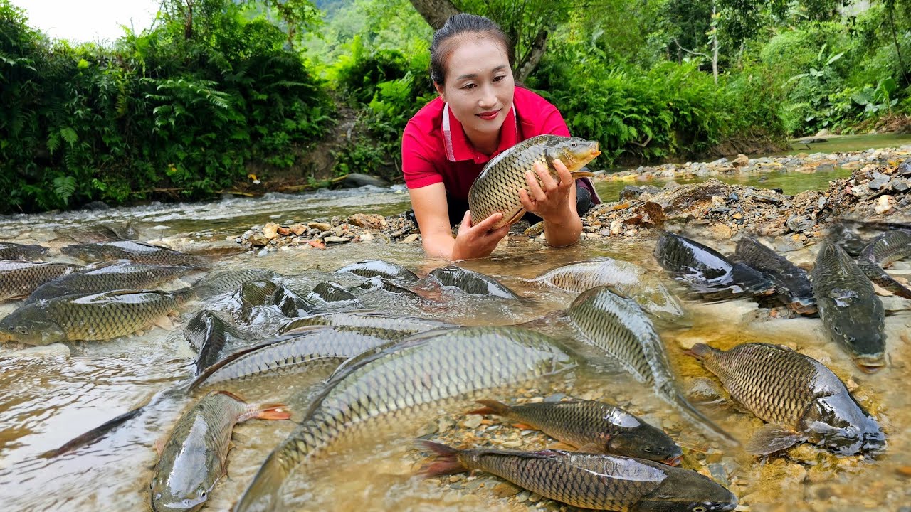 Encounter huge schools of fish - How to catch fish in the rainy season go to countryside market sell