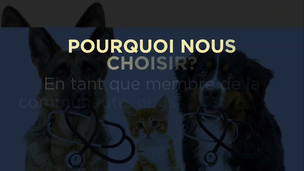 Clinique Vétérinaire King-George Inc. | Prix Choix du Consommateur 2026