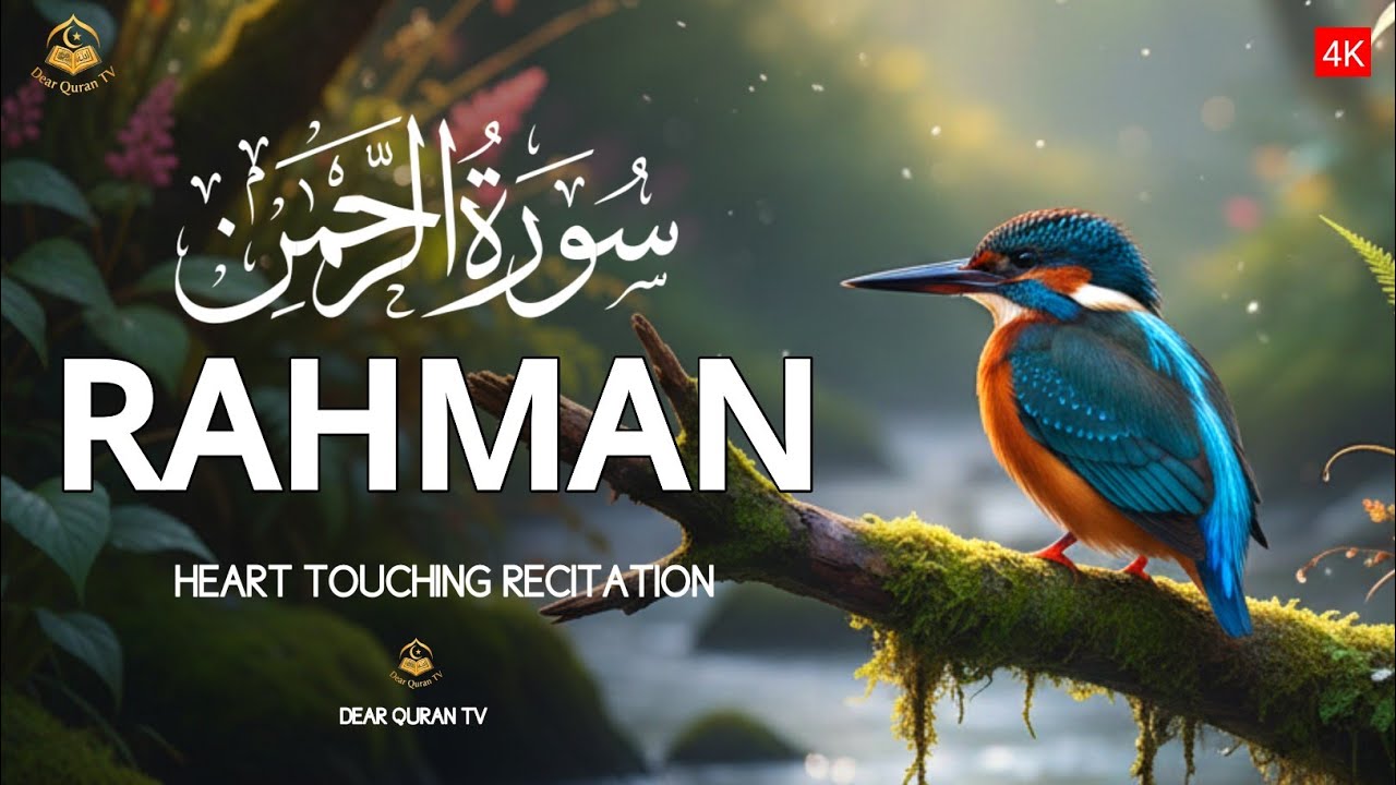 Most Heart-Touching Surah Ar-Rahman | Peaceful Quran Tilawat | quran recitation | Zain Abu Kautsar
