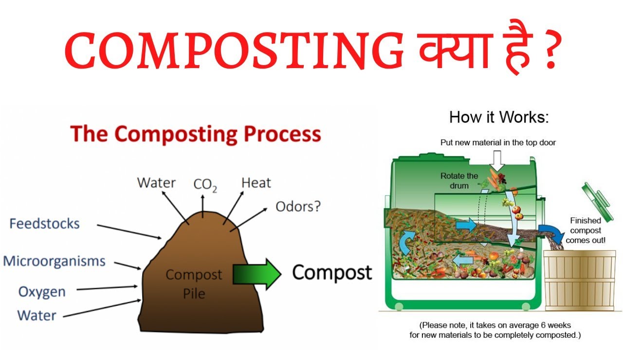 Composting क्या है और यह कैसे किया जाता है? खाद तैयार करने के 3 चरण
