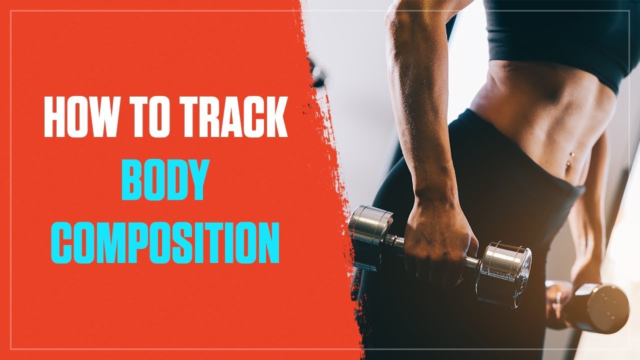 How to Track Your Body Composition in 3 Simple Steps (2018)