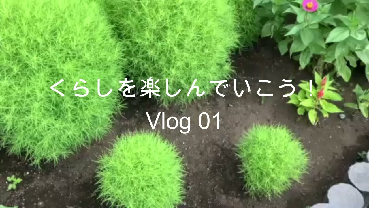 毎日ウォーキング10000歩を作り出す60代おばちゃんの工夫とは？＊＊くらしを楽しんでいこう！Vlog01 20250827