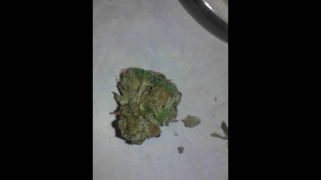 White Walker and Starburst Og Weed Porn