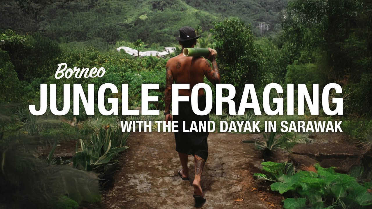 Borneo Jungle Foraging With The Bidayuh | SARAWAK Episode 2