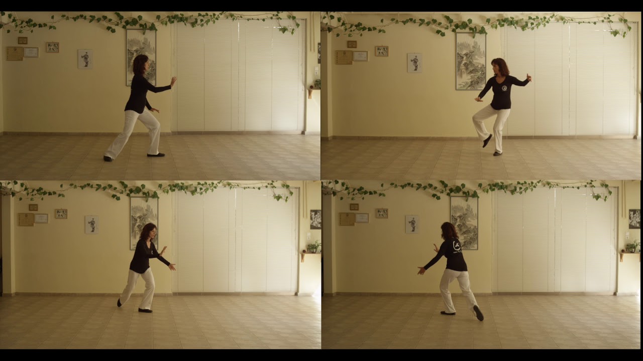 1st part x4 DONG TAI JI CHUAN  Lydia Tillianaki