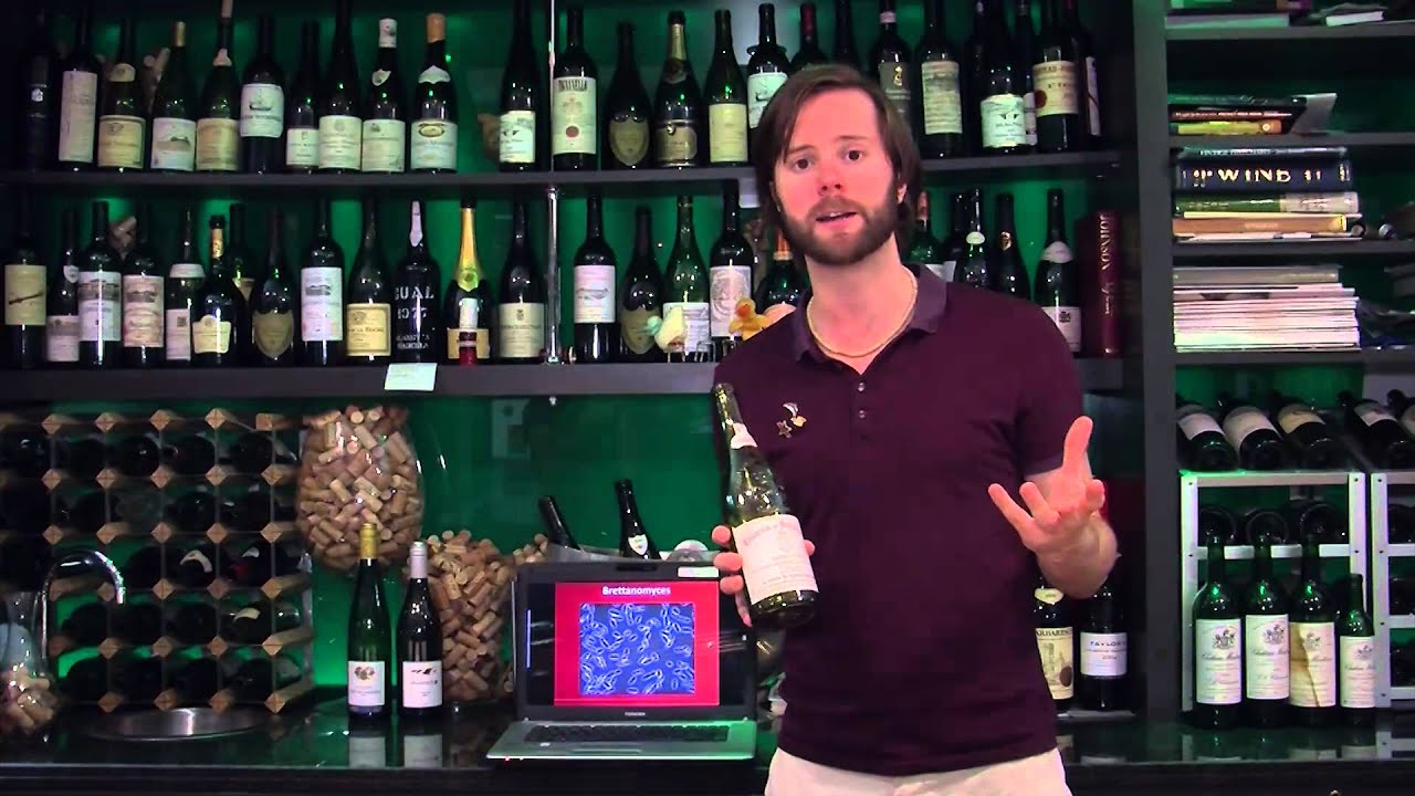 Wine Speak: Brettanomyces - The Wine Guy