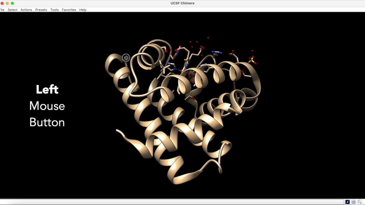Tutorial 1 – Getting Started with UCSF Chimera