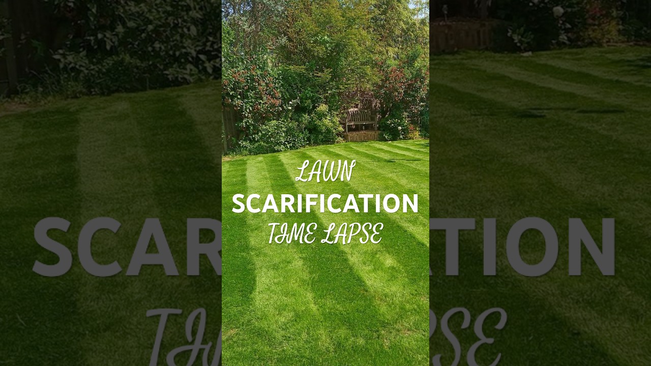 Lawn Scarification Time Lapse - Ed's Garden Services