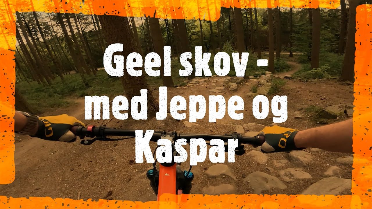 Geel skov med Jeppe og Kaspar