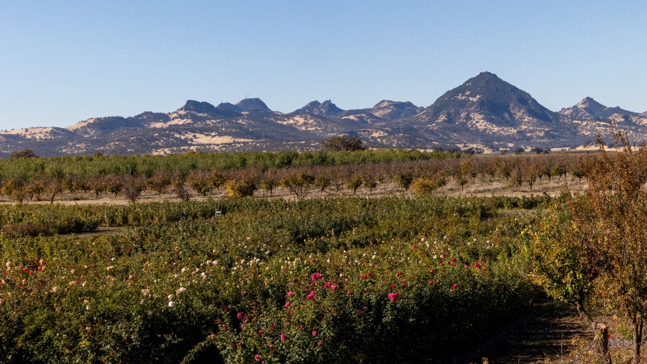 The Ultimate Agritourism Guide To Butte County And Beyond