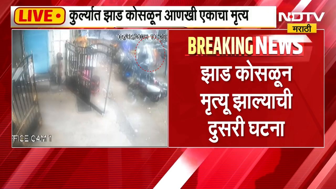 Mumbai Kurla Tree Collapsed | कुर्ल्यातील घटनास्थळावरुन NDTV मराठीचे LIVE Coverage
