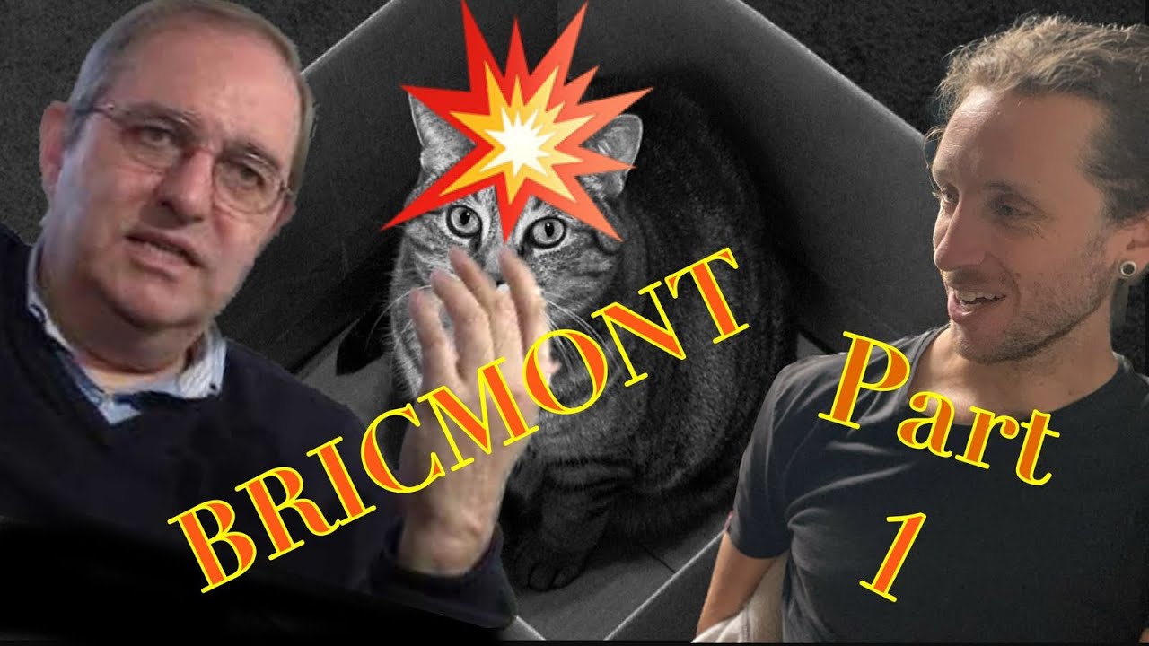 Le problème fondamental de la mécanique quantique - Jean Bricmont - ITW n°1