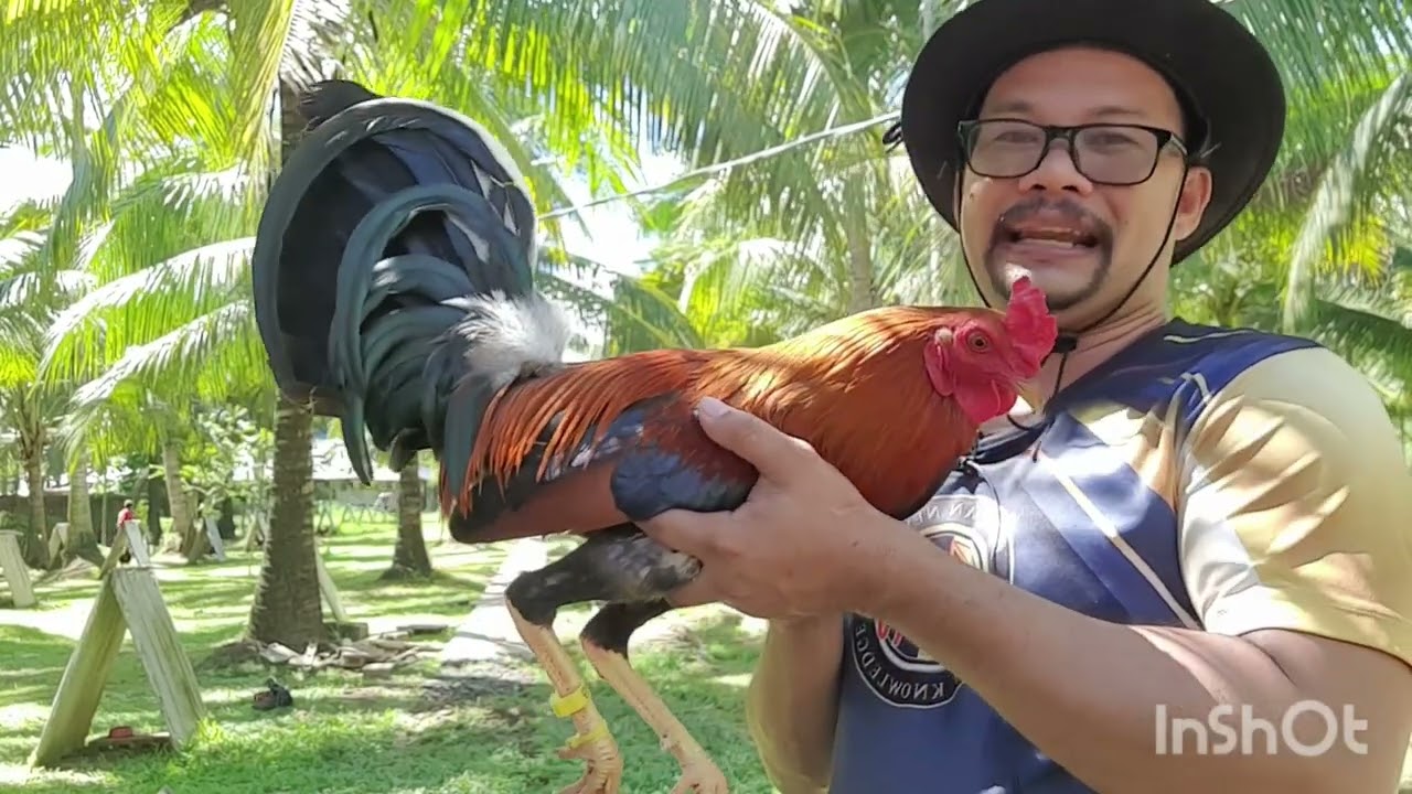 Pagpili ng Breeding Materials at Pagbili sa mga Farm