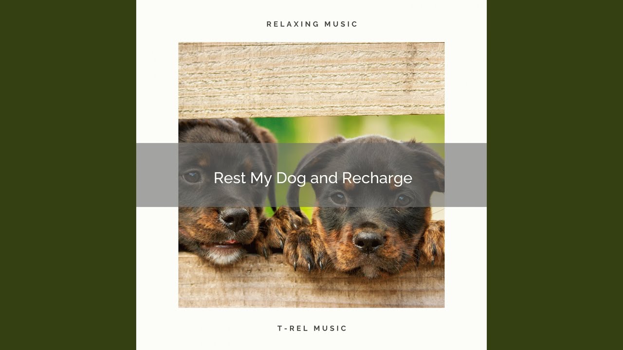 Tunes for Devoted Pets Only part 3