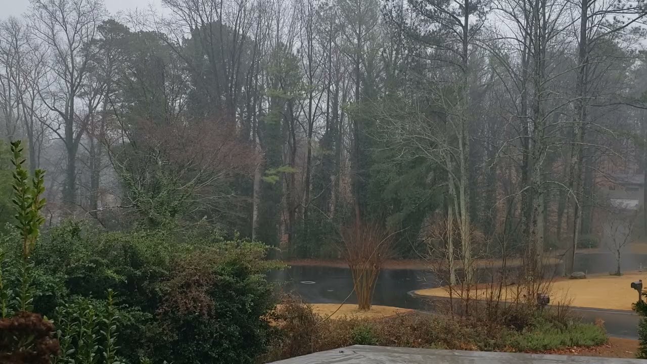 Feb 15, 2026 Light steady rain through the trees. Peaceful. Relaxing.