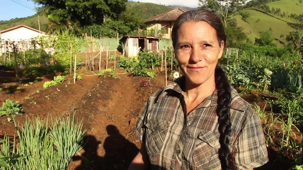 A HORTA ORGÂNICA DA MARGARIDA E SEU TARCÍSIO - SFX