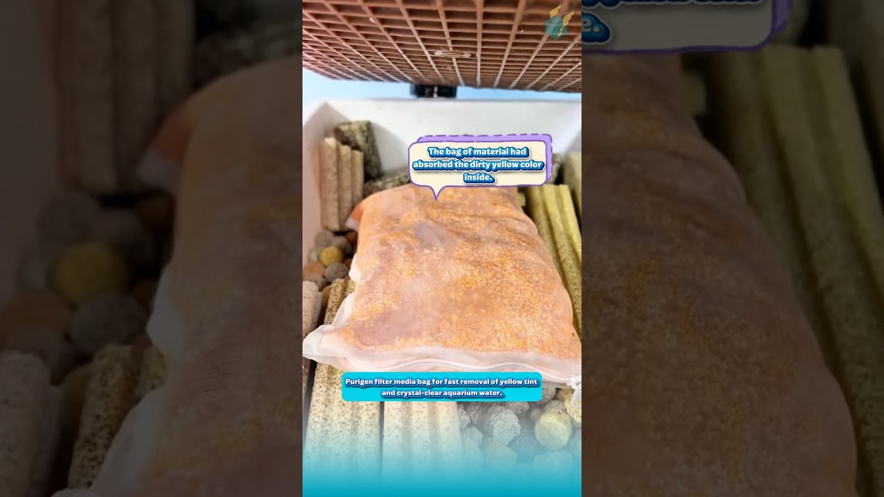 Purigen filter media bag for fast removal of yellow tint and crystal-clear aquarium water