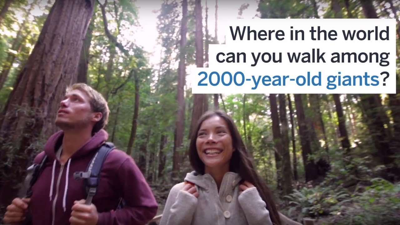 California's Redwood Coast named Lonely Planet's top US destination for 2018