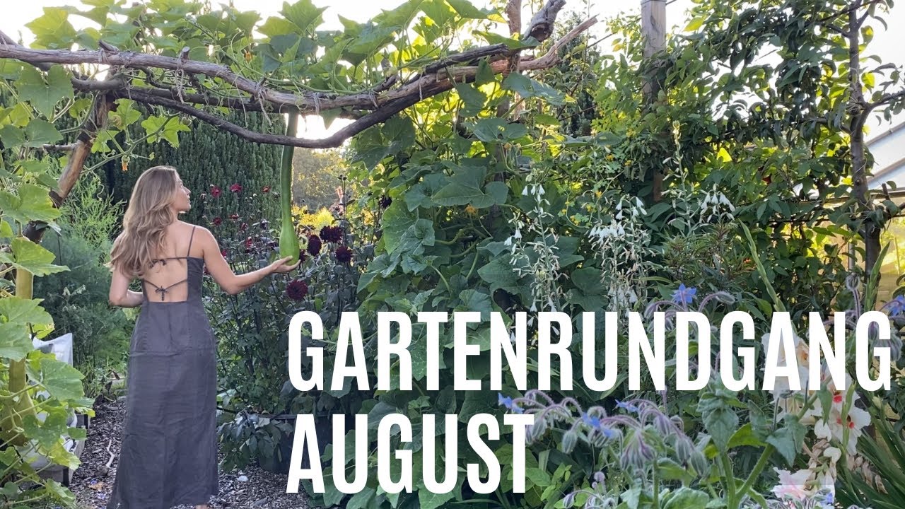 Gartenrundgang August 2025 | Gemüsegarten, Riesenkürbis & Braunfäule