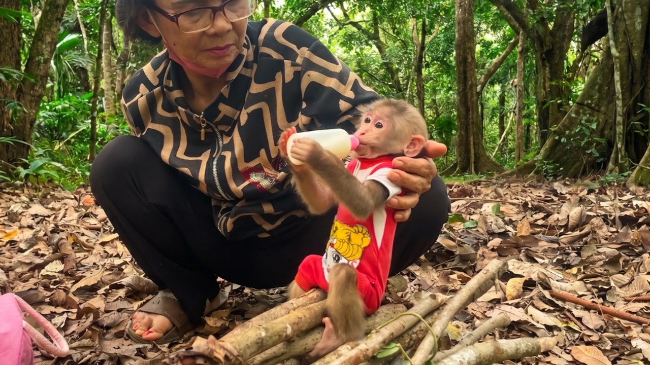 Sad Lulu Finds Comfort During a Forest Walk with Grandma