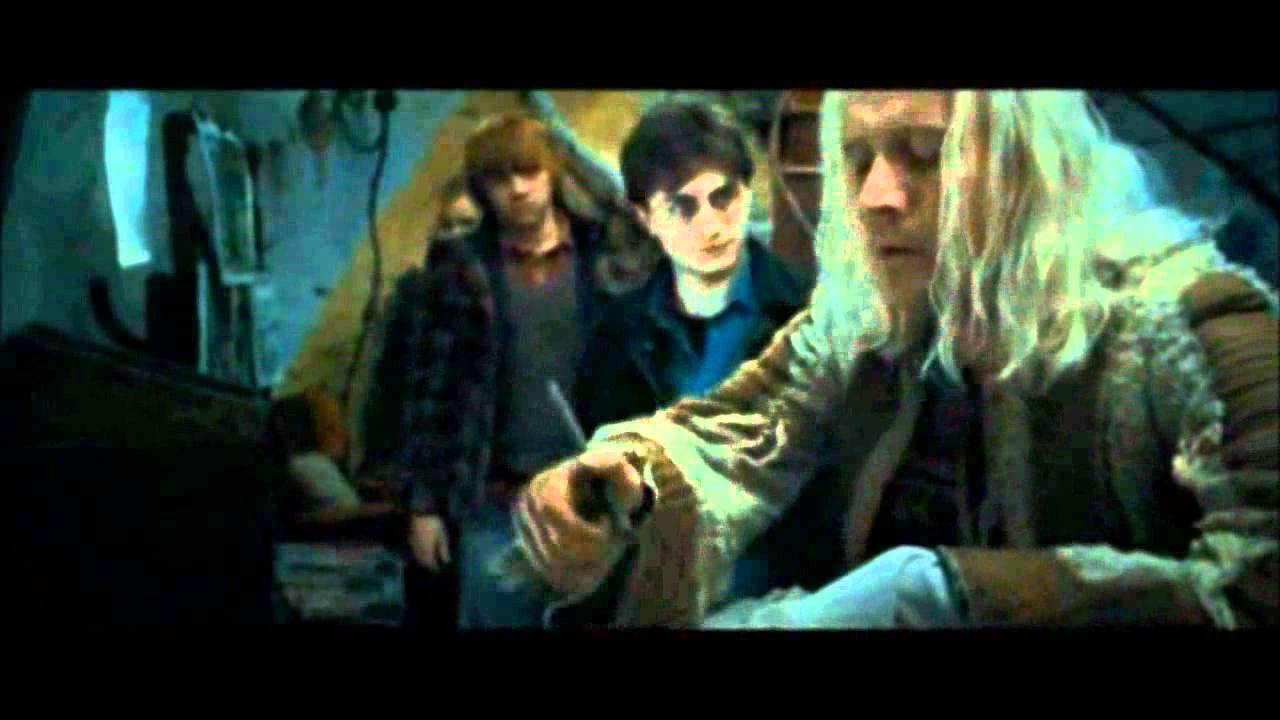 harry potter voice over (karry klotter) (4) de raad van de ouwe man en de zwervers
