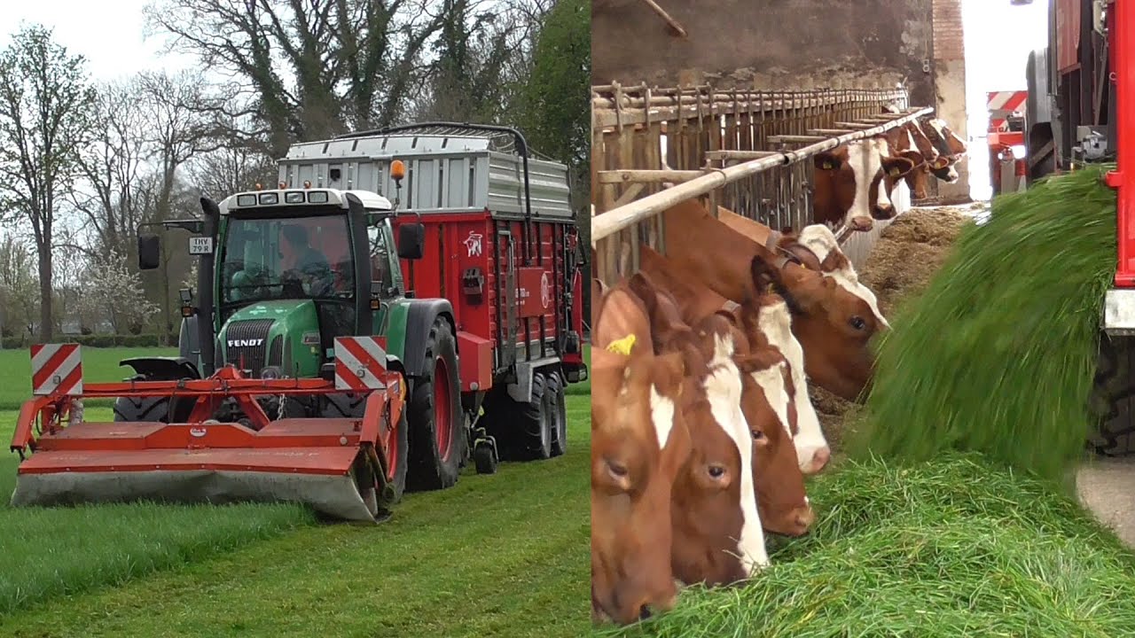 Zero-grazing