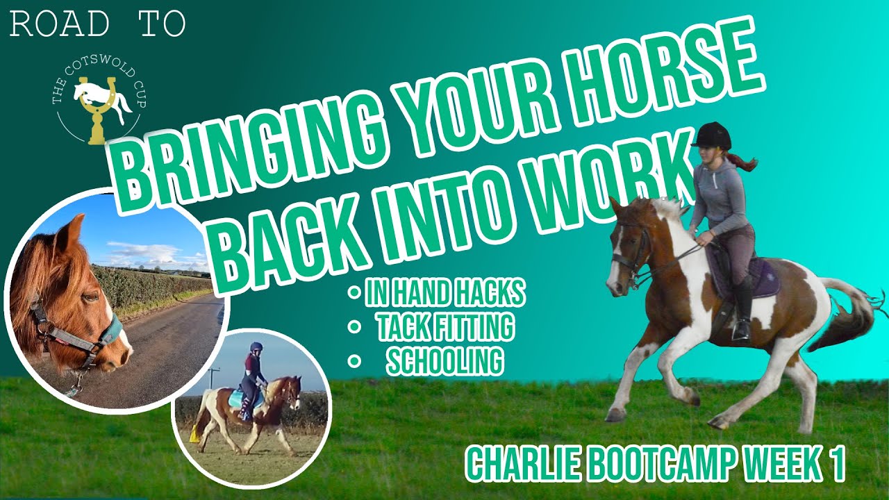 How To Bring A Horse Back into Work After A Winter Break