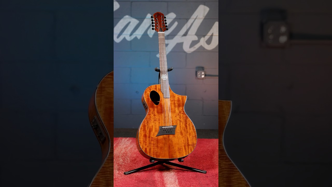 10 String Acoustic Guitar!!! Michael Kelly Forte Koa 10 #guitar #guitarreviews  #shorts