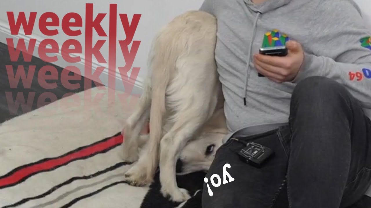 eine schräge Woche | weekly #13 | BONJWA supercut 2021