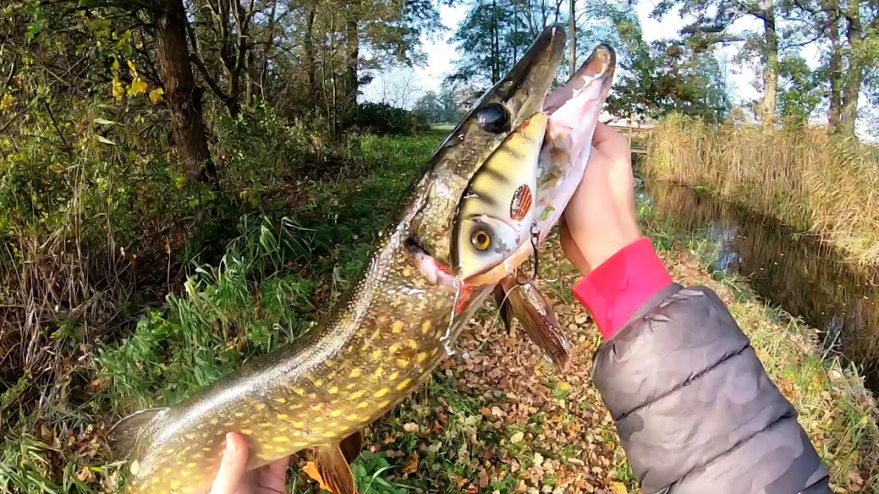 Graf Hecht zu Besuch in Sachsen Anhalt
