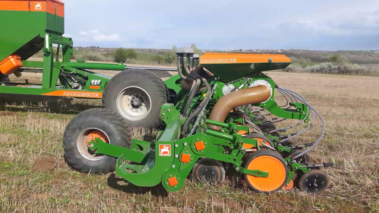 Amazone EDX 9000 no till 1