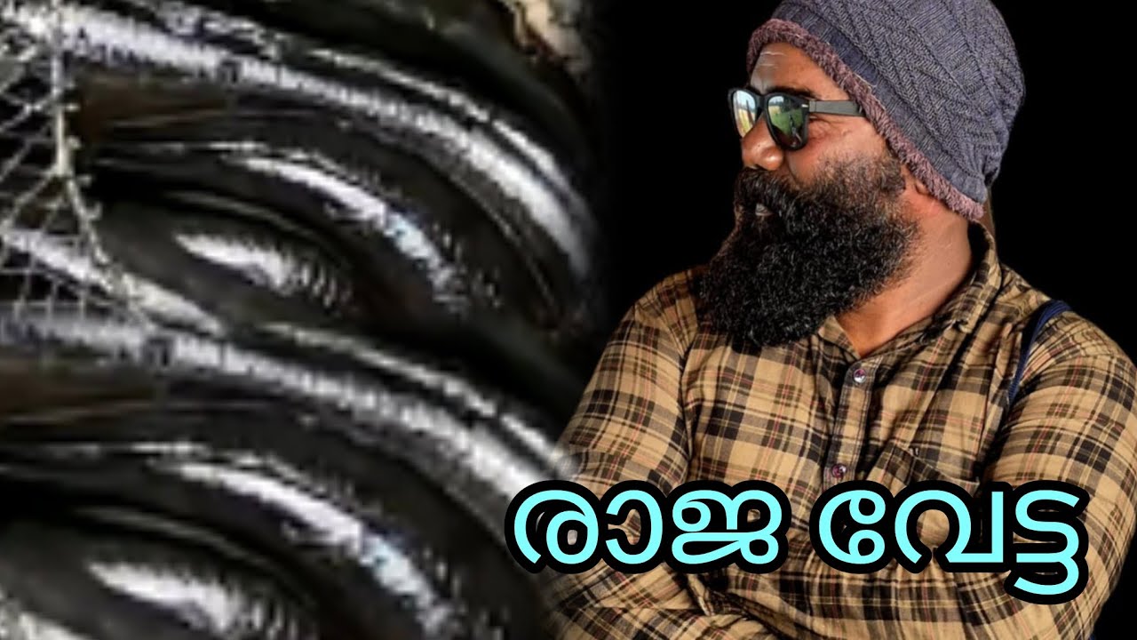 രാജപുരം കായൽ #Reallife #realfishing 