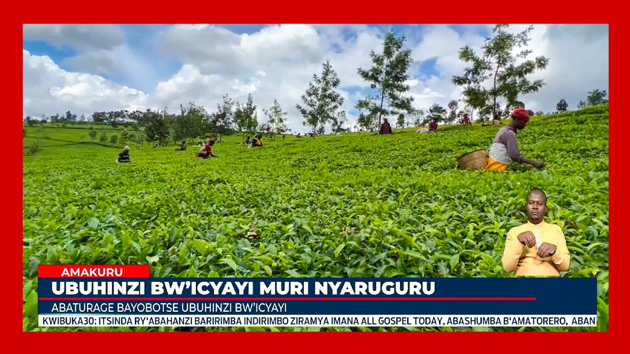 Nyaruguru: Abayobotse ubuhinzi bw’icyayi bwababereye imbarutso yo guhindura ubuzima