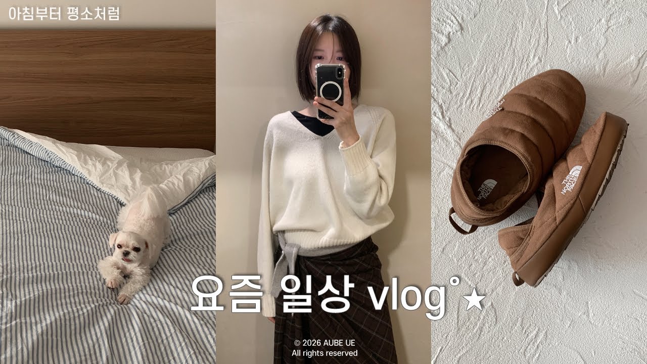 [VLOG] 감기에 걸렸지만 할 일은 해야지