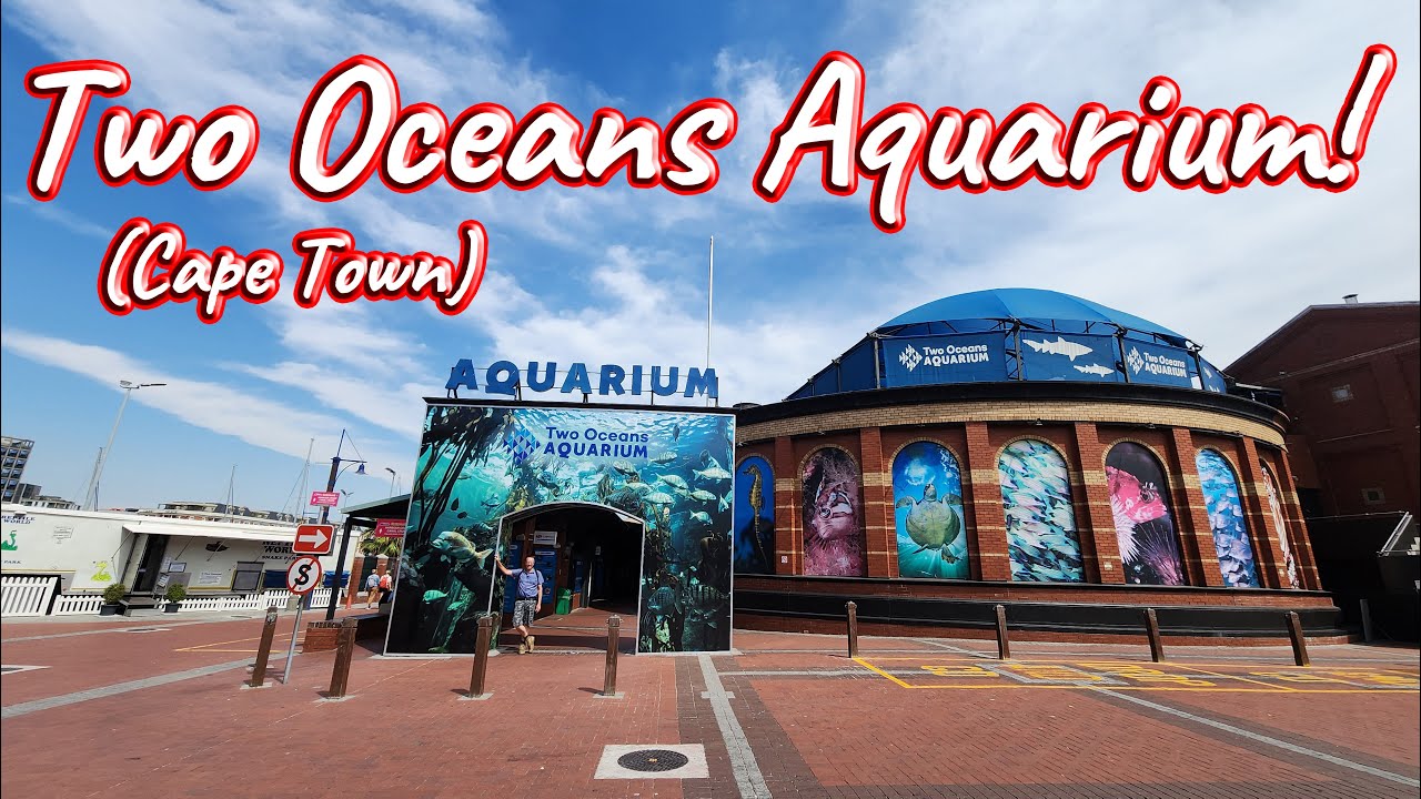 Two Oceans Aquarium Cape Town! Ep 446