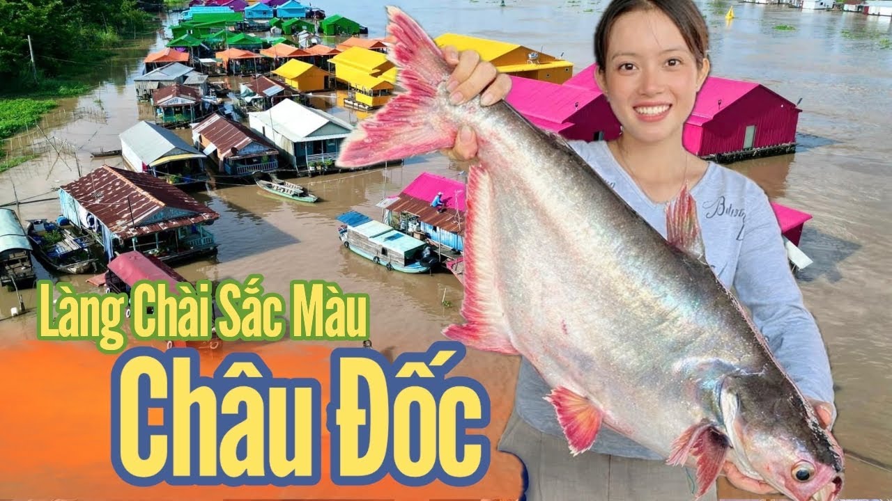 Cô Gái Quê ✅ Lần đầu trãi nghiệm Câu Tôm Câu Cá trên Làng Bè Châu Đốc,