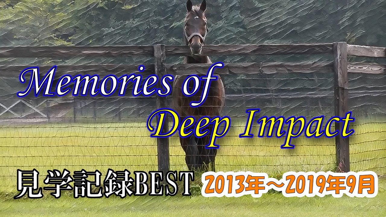 ディープインパクトとの出会いと別れ ~7年間の見学記録 Memories of Deep Impact~