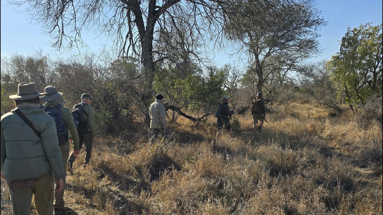 African Walking Safari - South Africa 2024 - Episode 1 - Travel and Africa on Foot